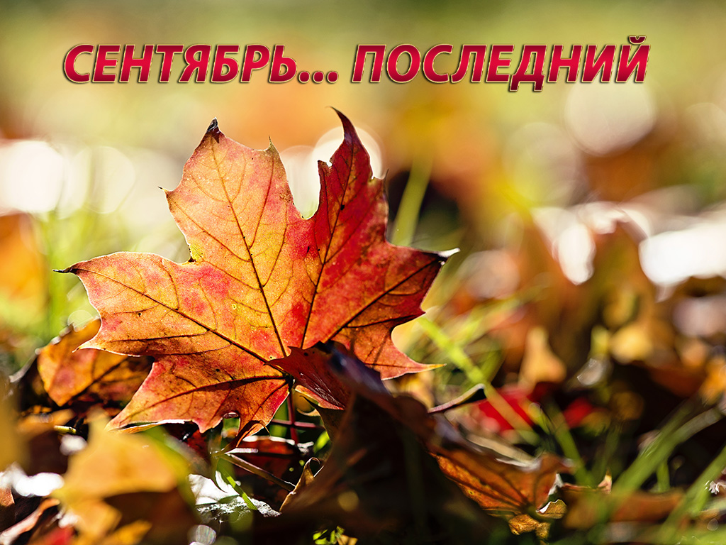 Сентябрь... последний
