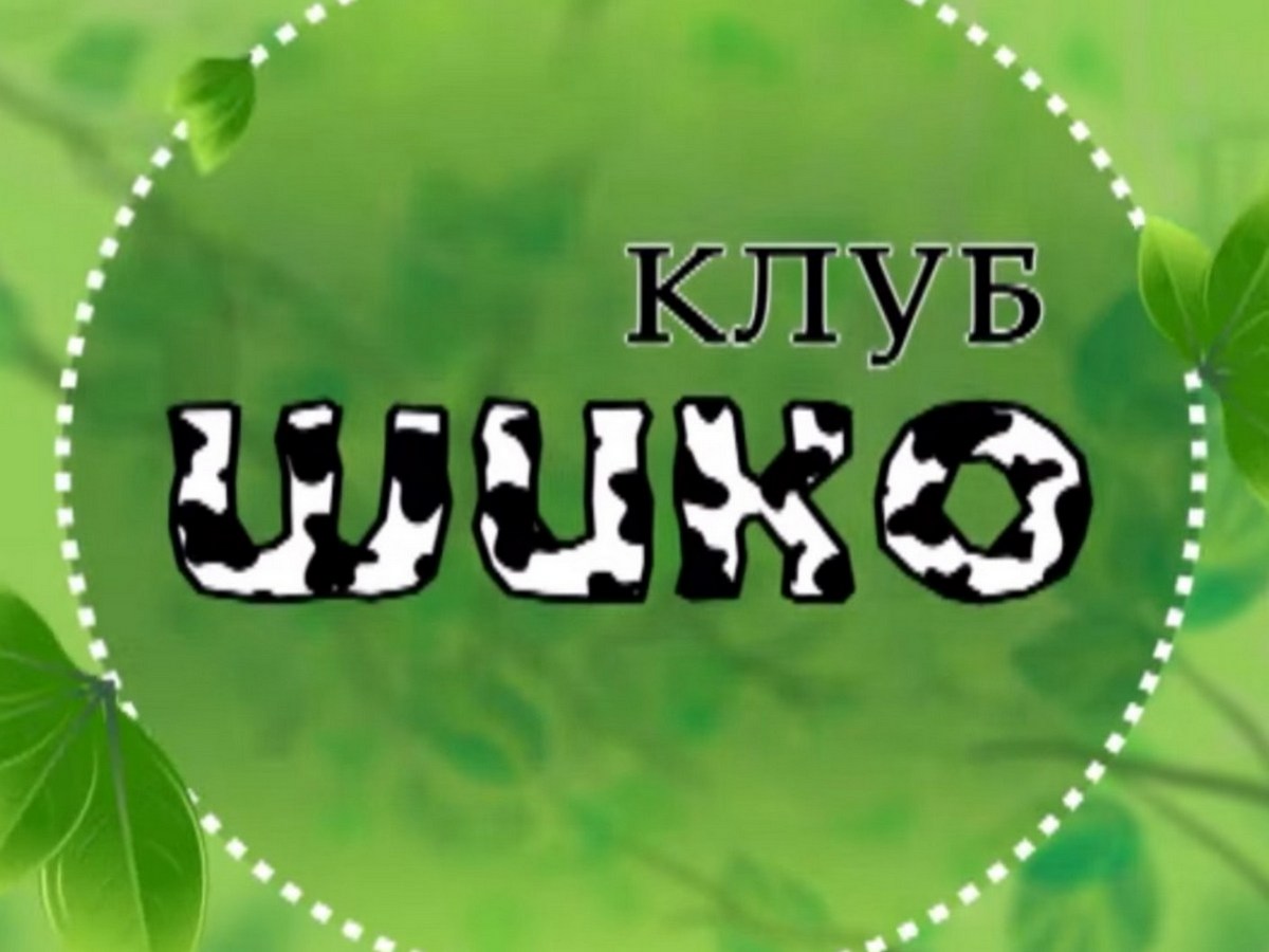 Клуб "Щико"