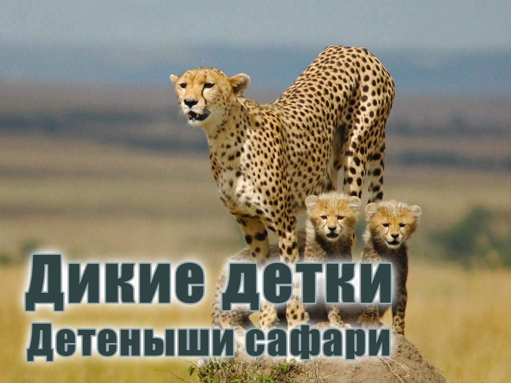 Дикие детки