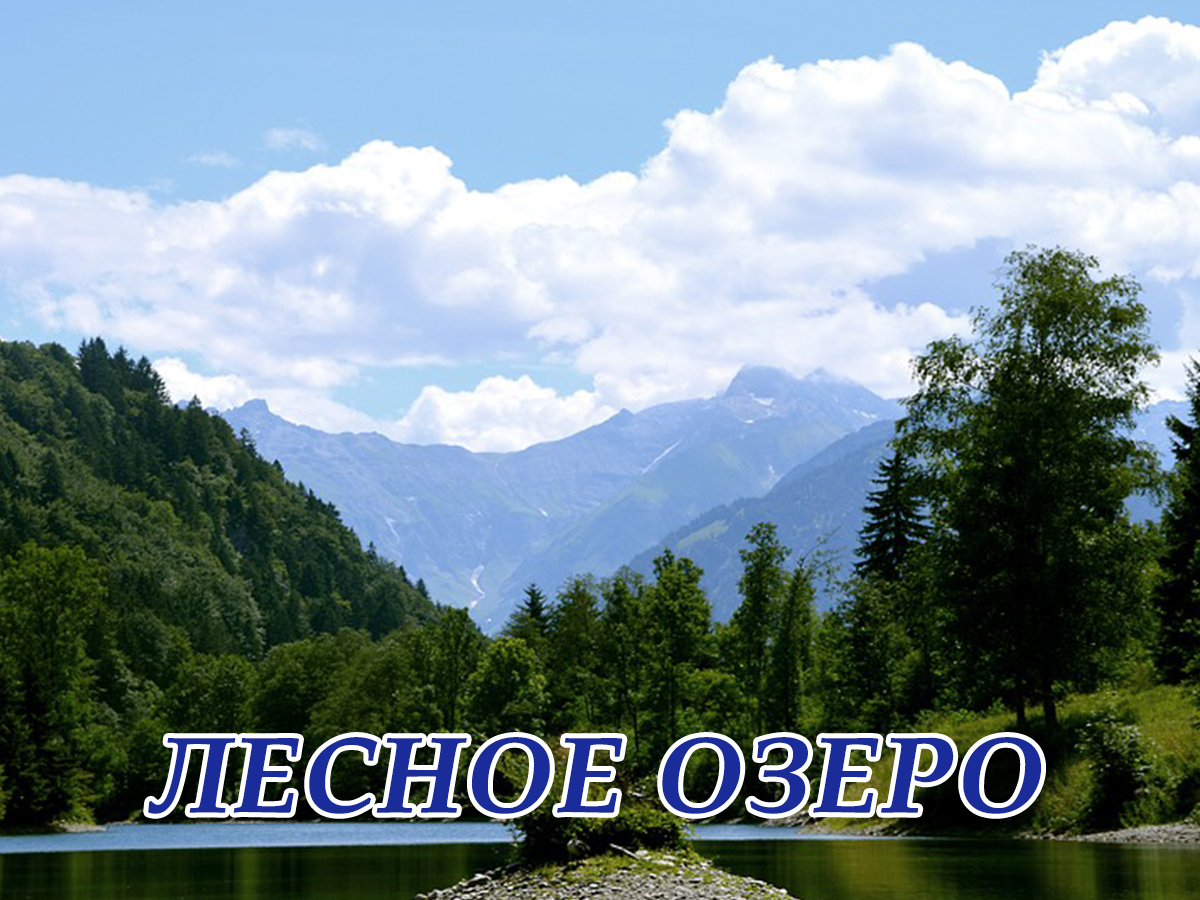 Лесное озеро