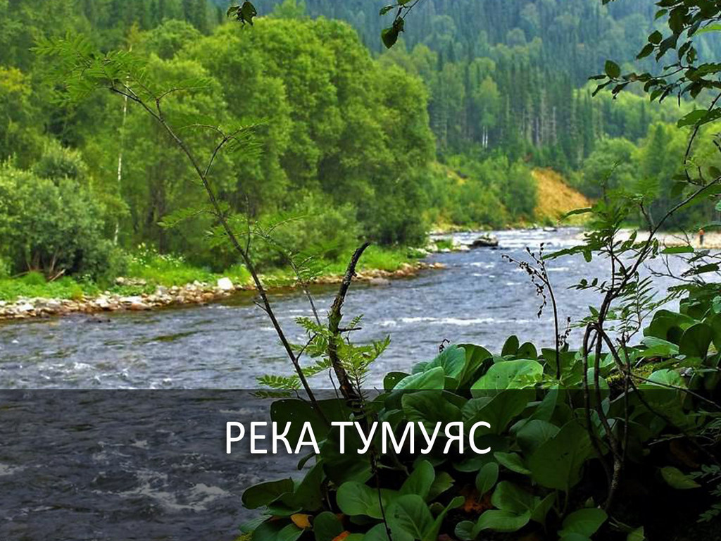 Река Тумуяс