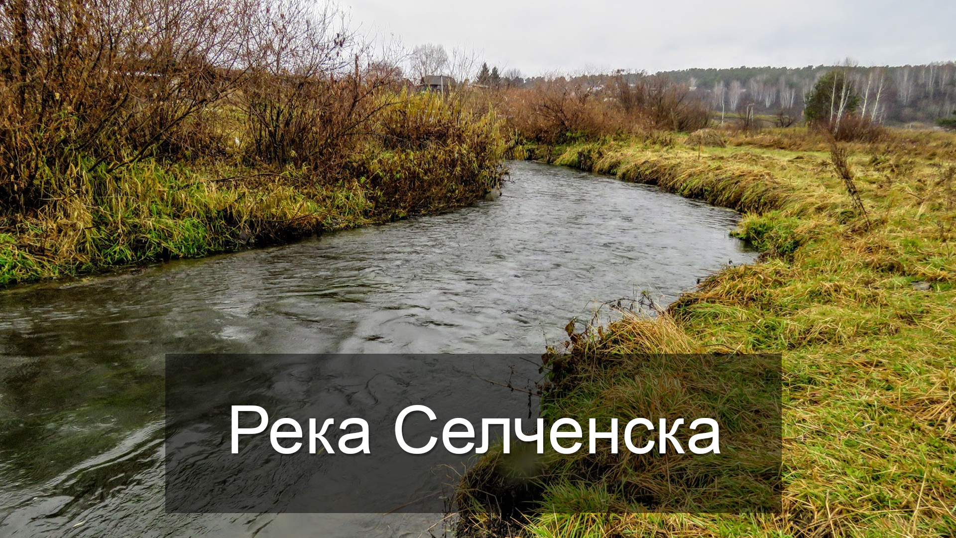 Река Селченска