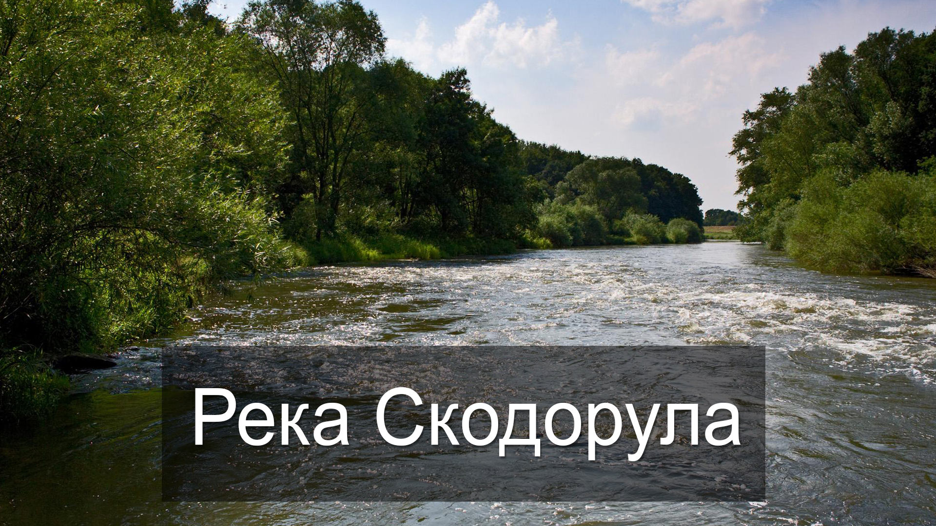 Река Скодорула