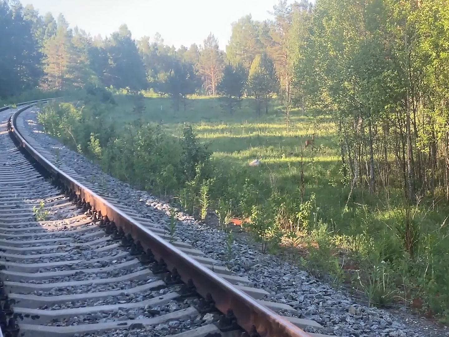 Трансуральская экспедиция