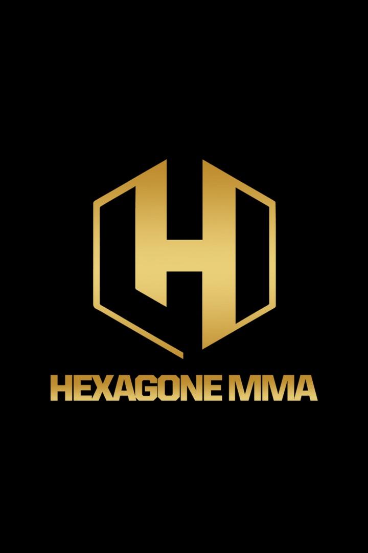 Смешанные единоборства. Hexagone MMA 12. Шамиль Увайсов против Набиля Хариули. Принц Ауналла против Александра Цверны. Трансляция из Нидерландов