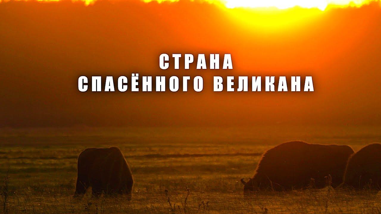 Страна спасенного великана