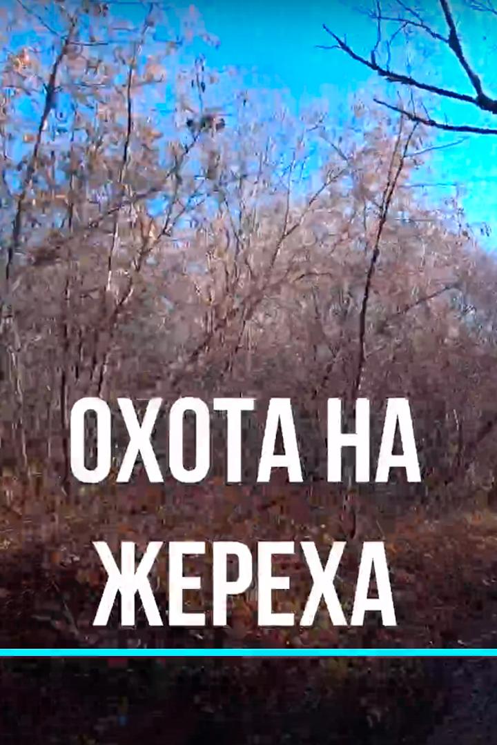 Охота на жереха