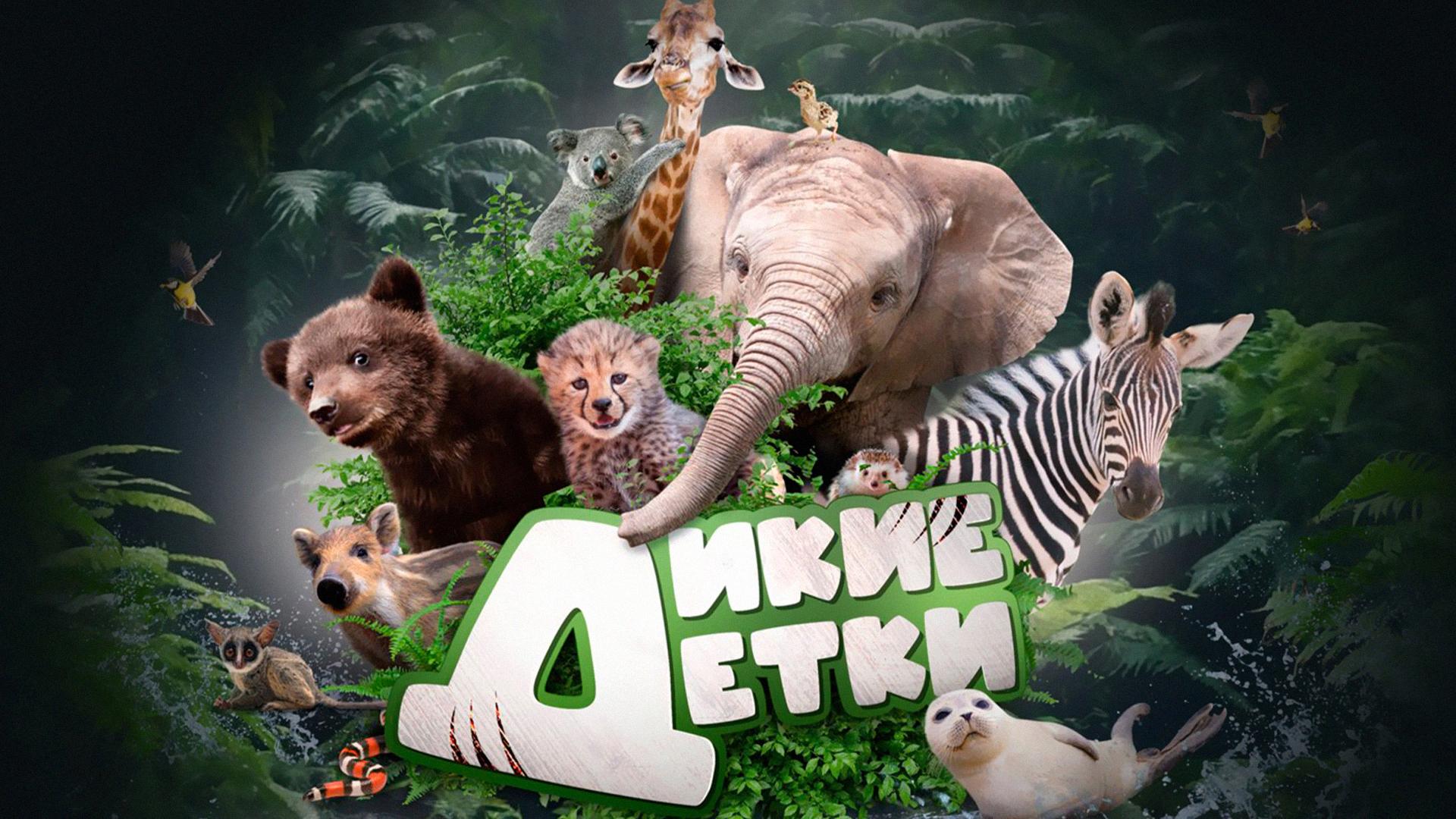 Дикие детки