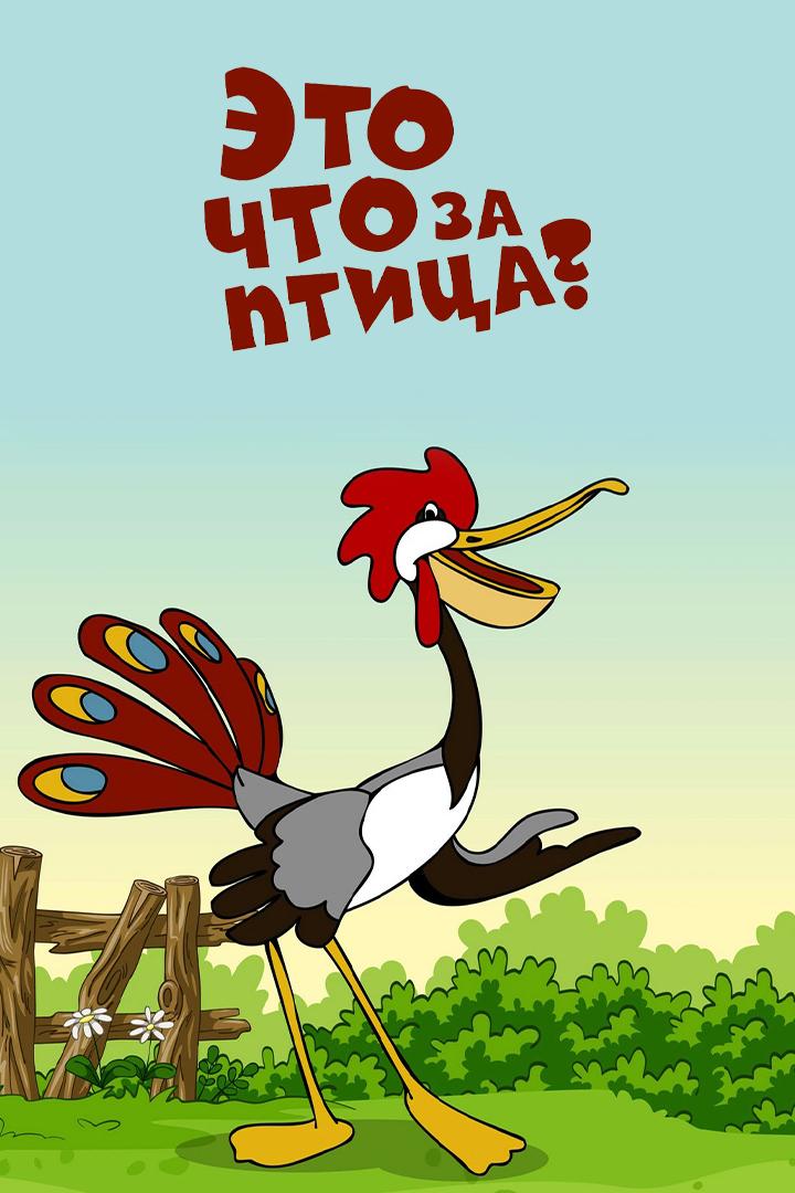 Это что за птица?