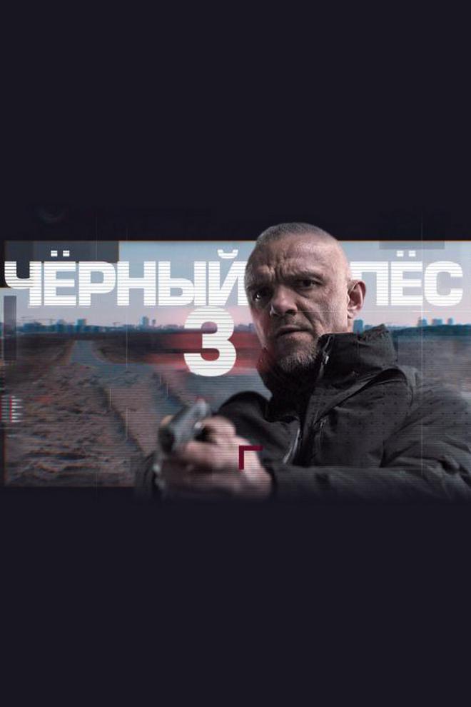 Чёрный пёс-3
