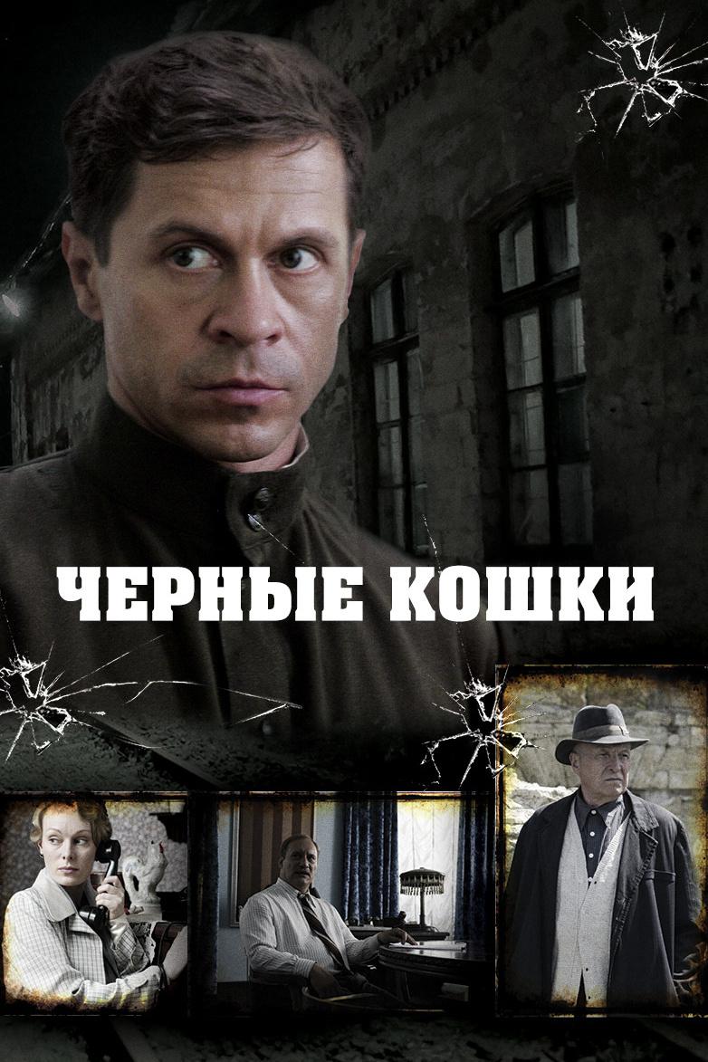 Чёрные кошки
