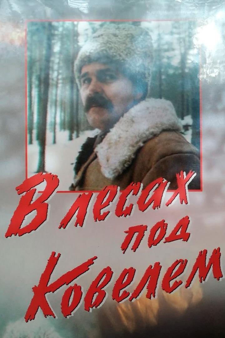 В лесах под Ковелем