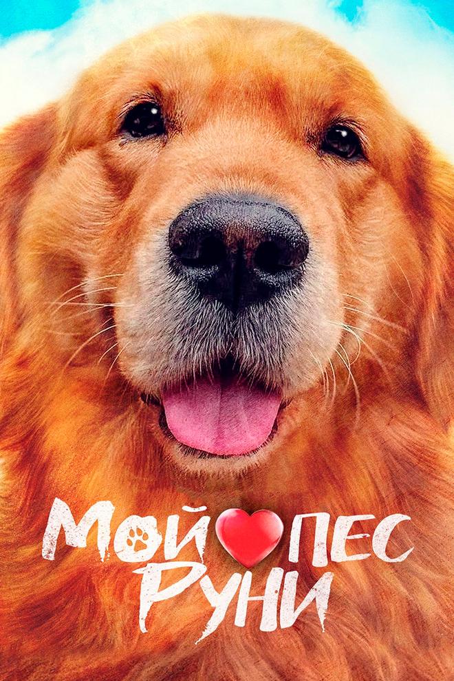 Постер: Мой пёс Руни