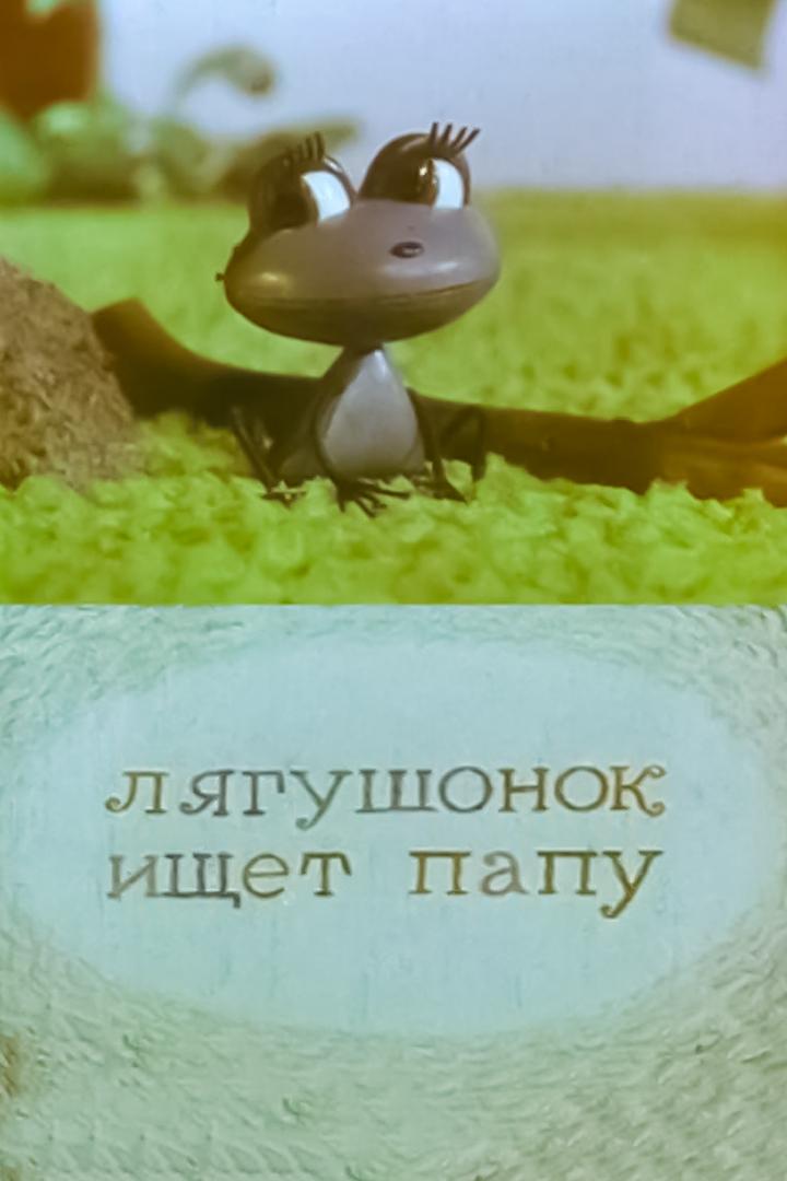 Лягушонок ищет папу
