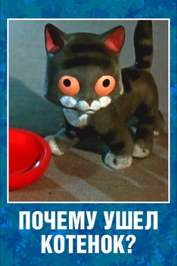Почему ушёл котёнок?