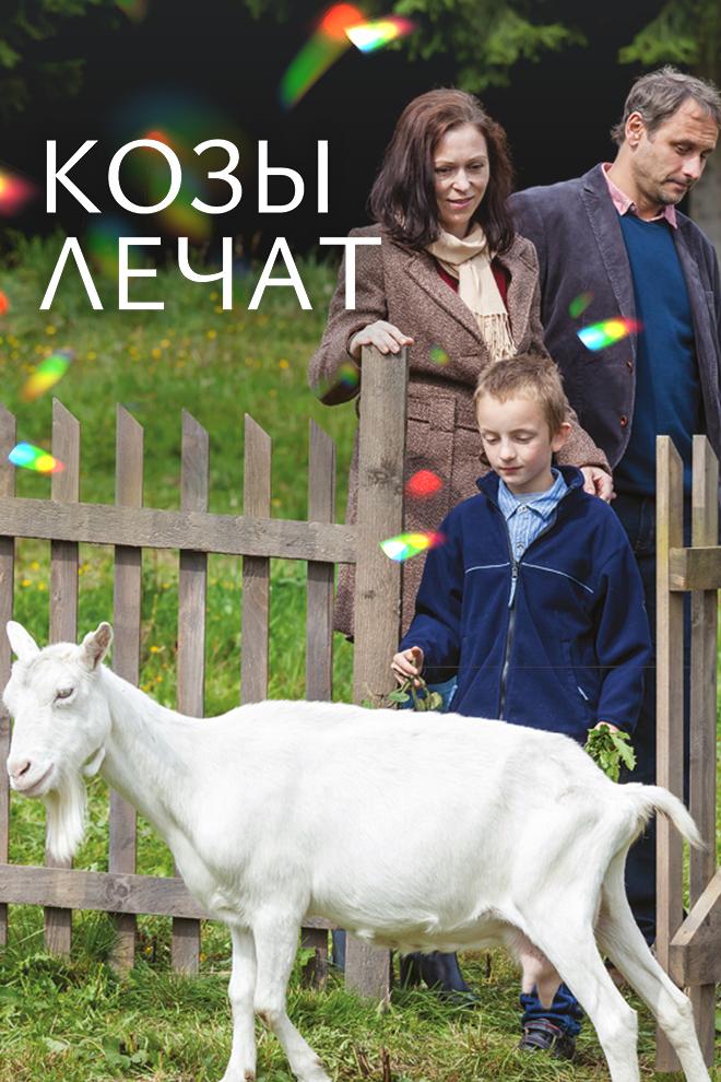 Козы лечат