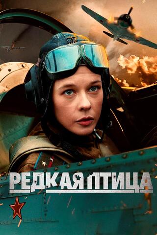 Постер: Редкая птица