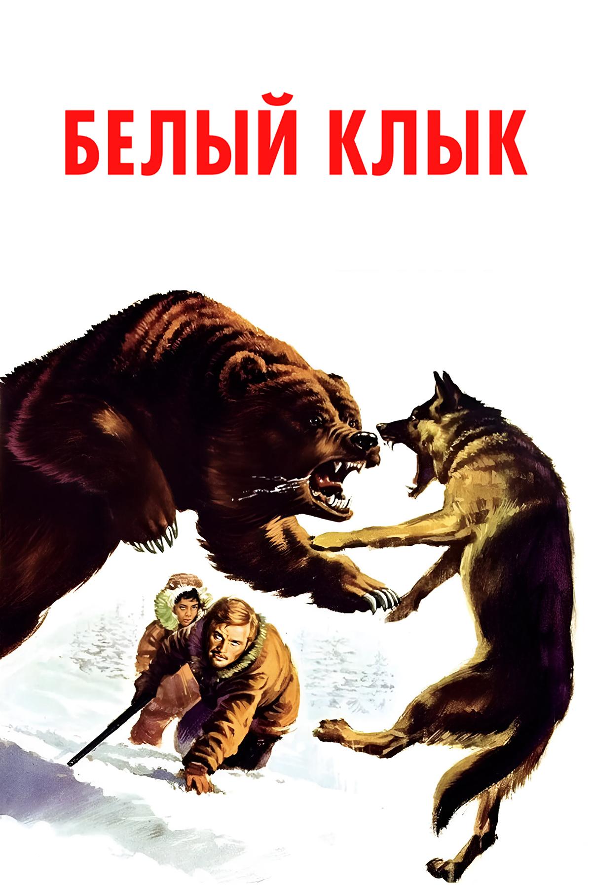 Белый клык