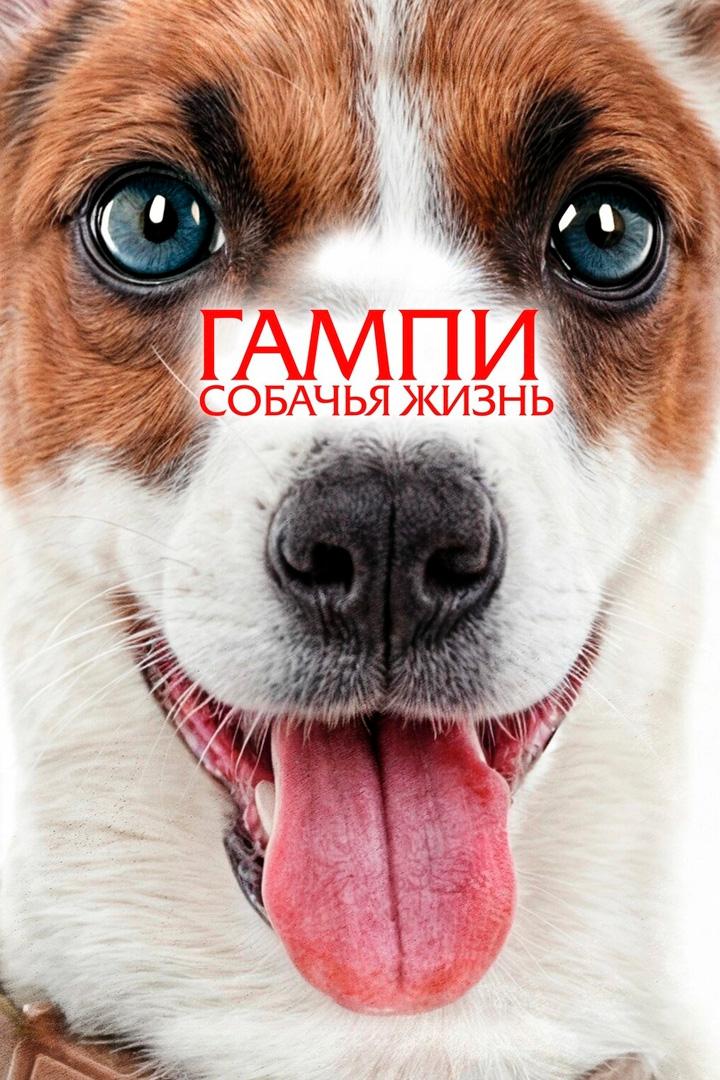 Постер: Гампи. Собачья жизнь