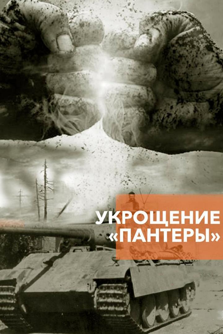Укрощение "Пантеры"