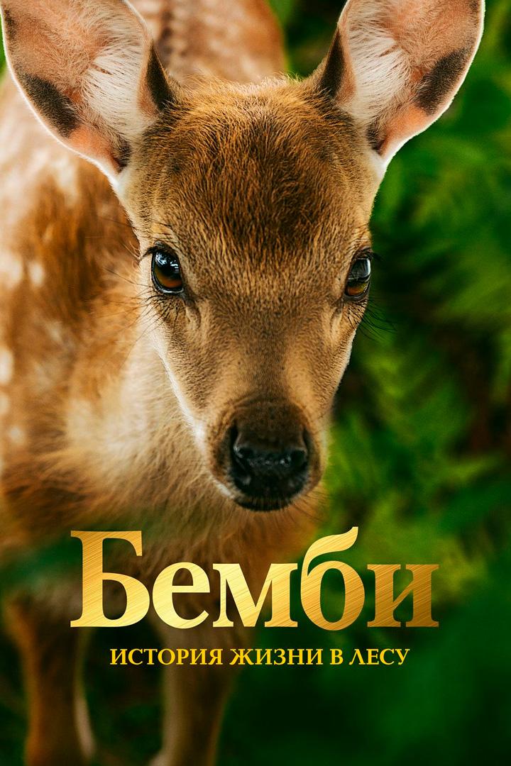 Бэмби. История жизни в лесу