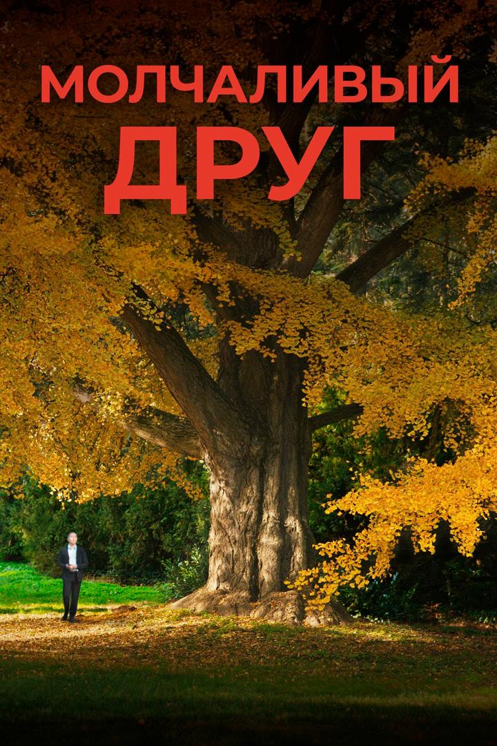 Молчаливый друг