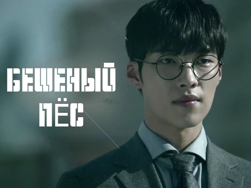 Постер: Бешеный пёс