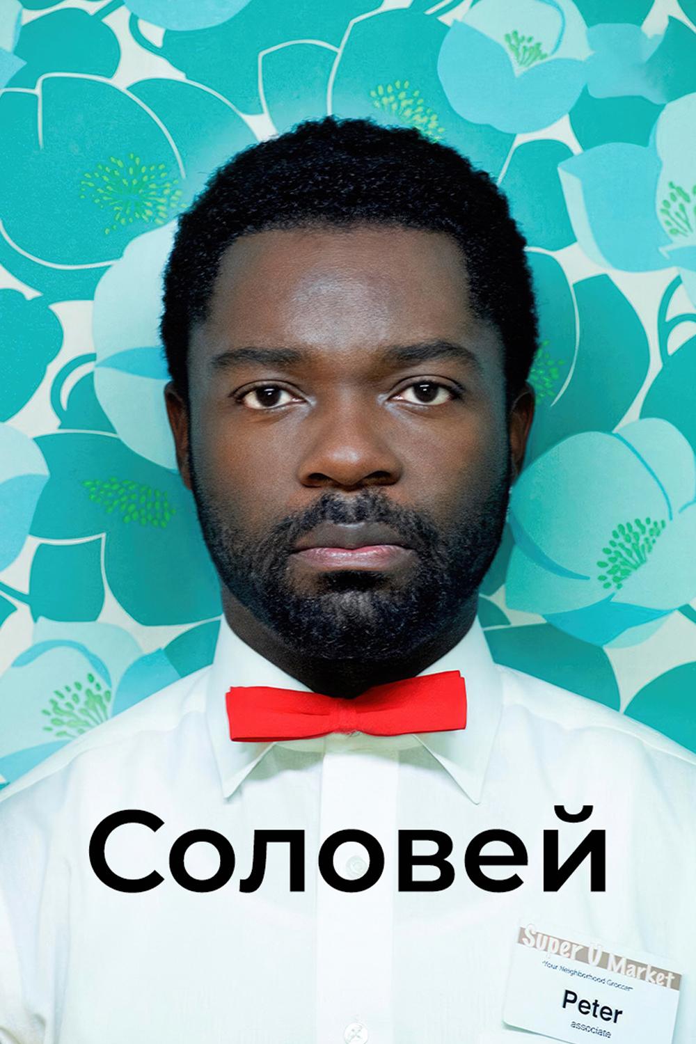 Соловей