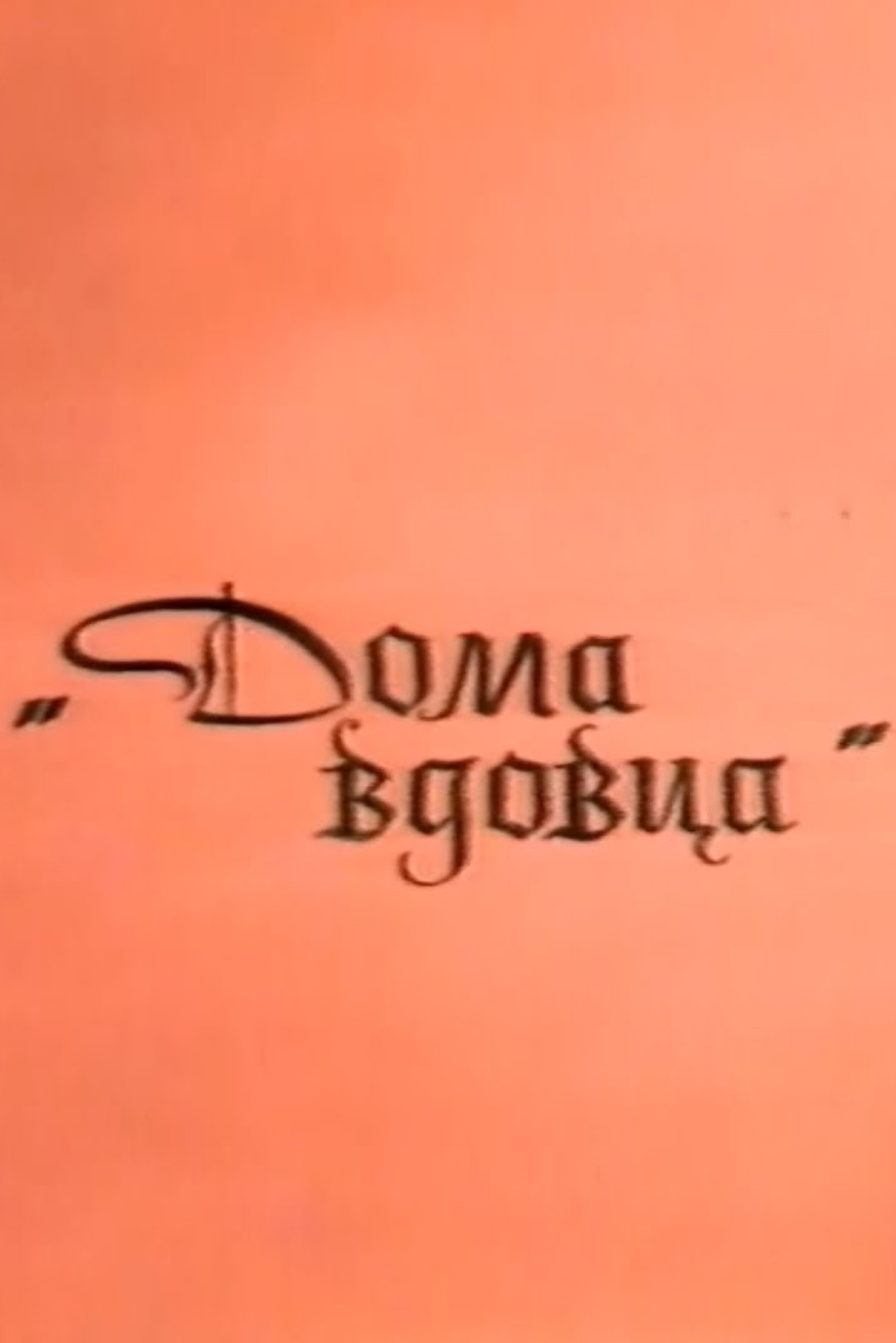 Дома вдовца