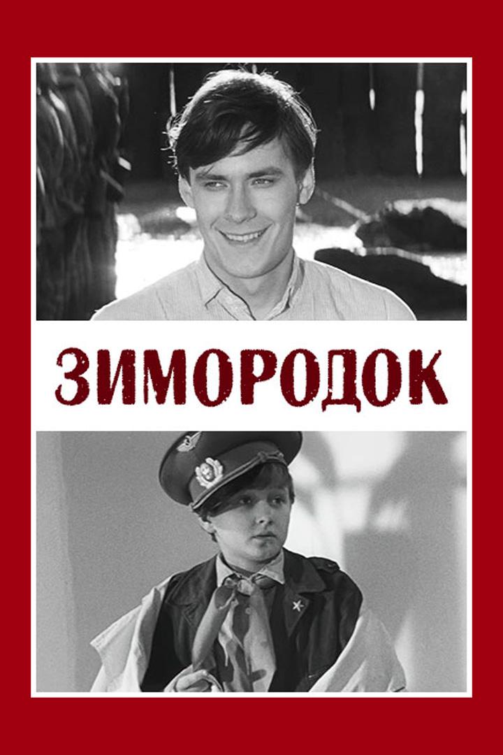 Зимородок
