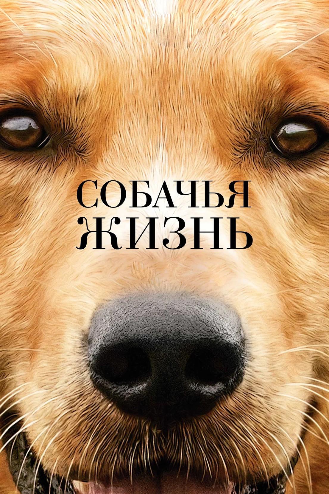 Собачья жизнь