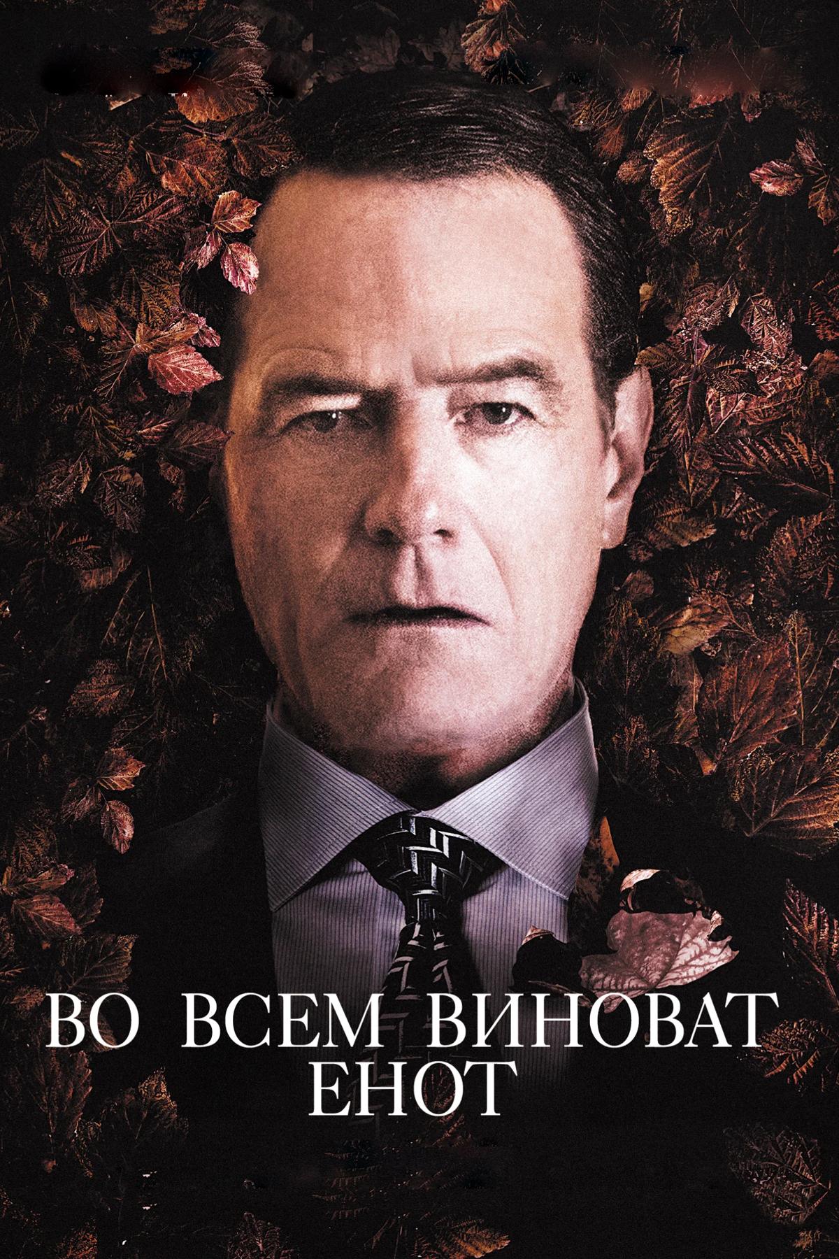 Во всем виноват енот