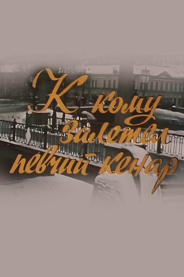 К кому залетел певчий кенар