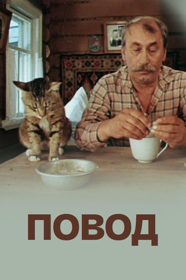 Повод