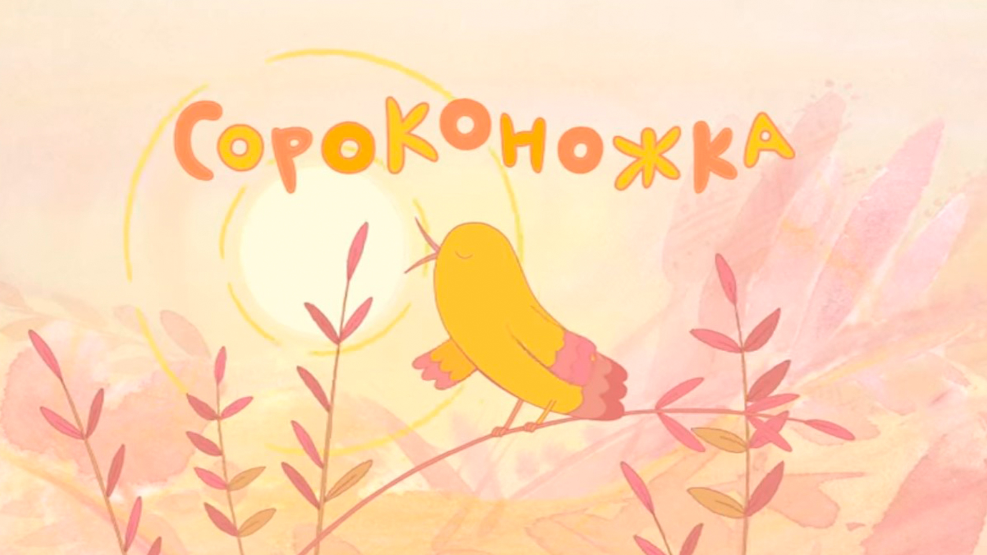 Сороконожка