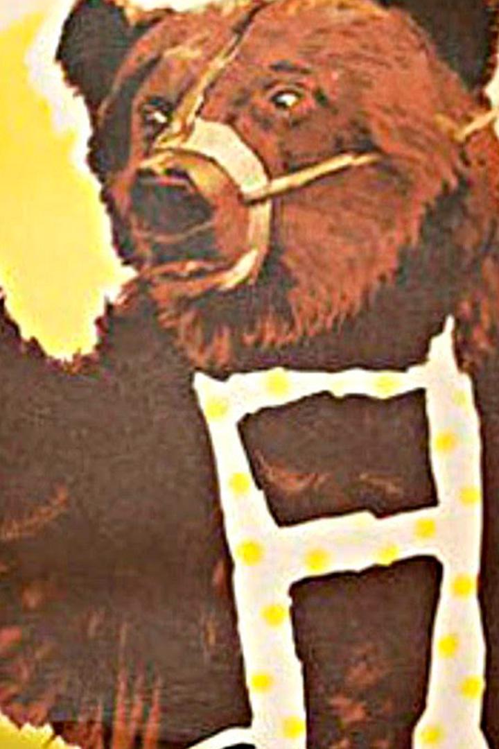 Косолапый друг