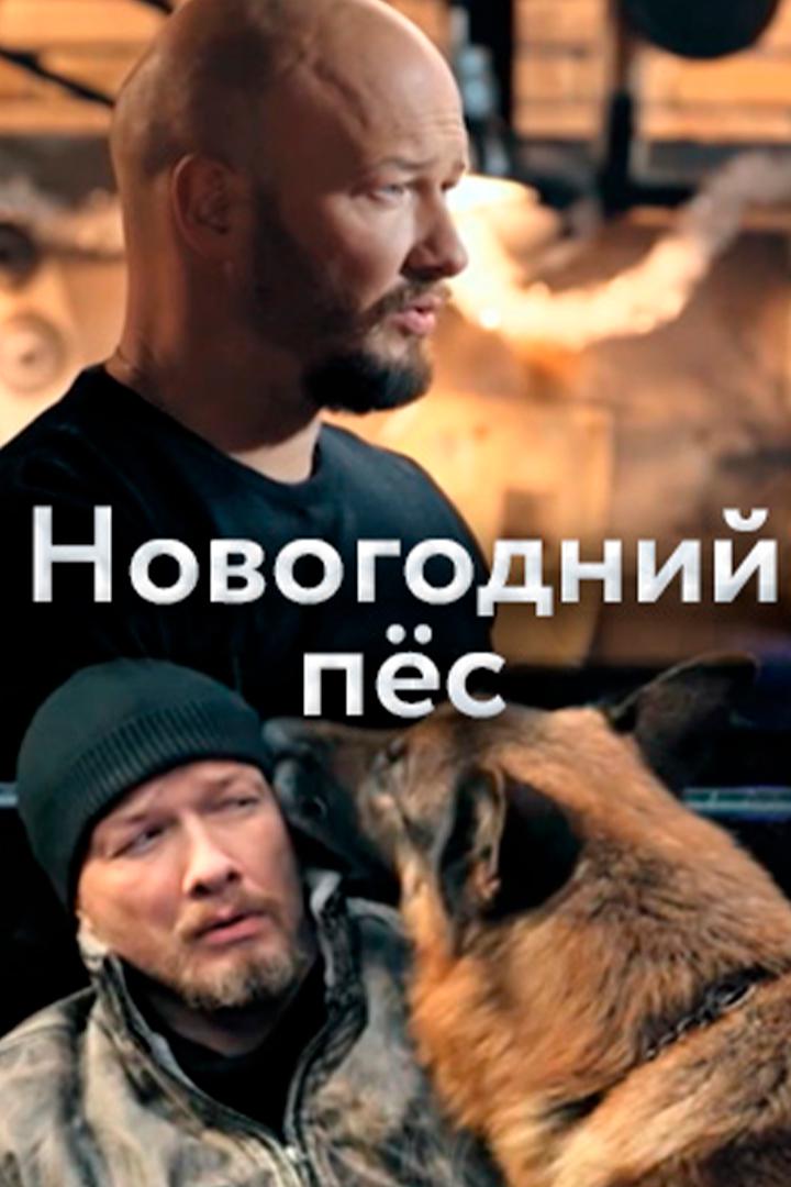 Новогодний пёс