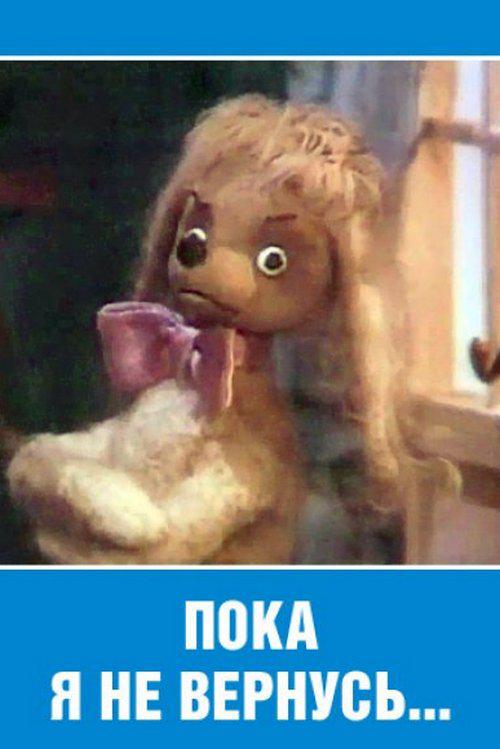 Пока я не вернусь...