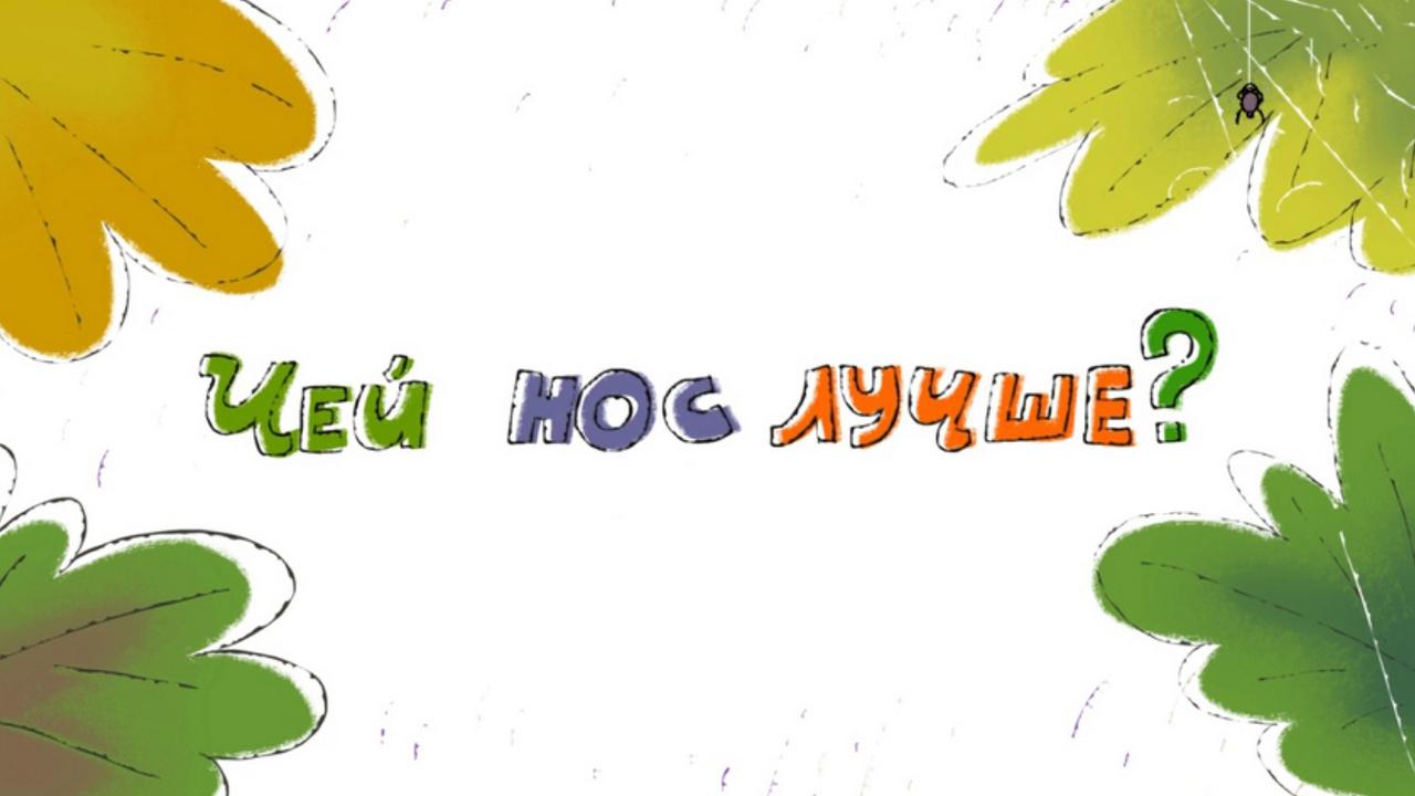 Чей нос лучше?