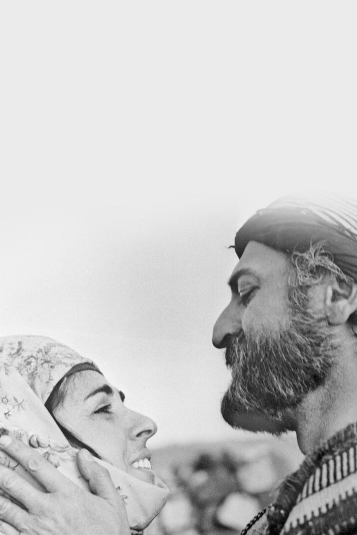 Նահապետ