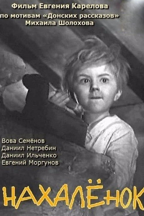 Нахалёнок