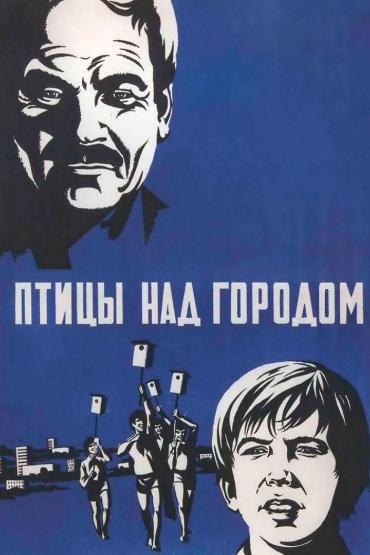 Птицы над городом
