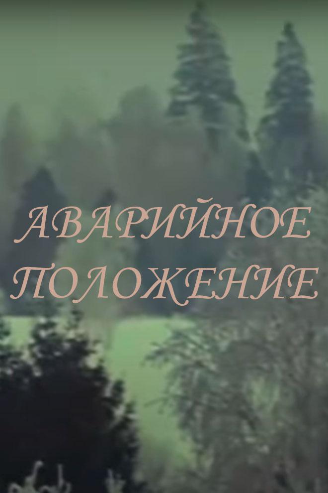 Аварийное положение