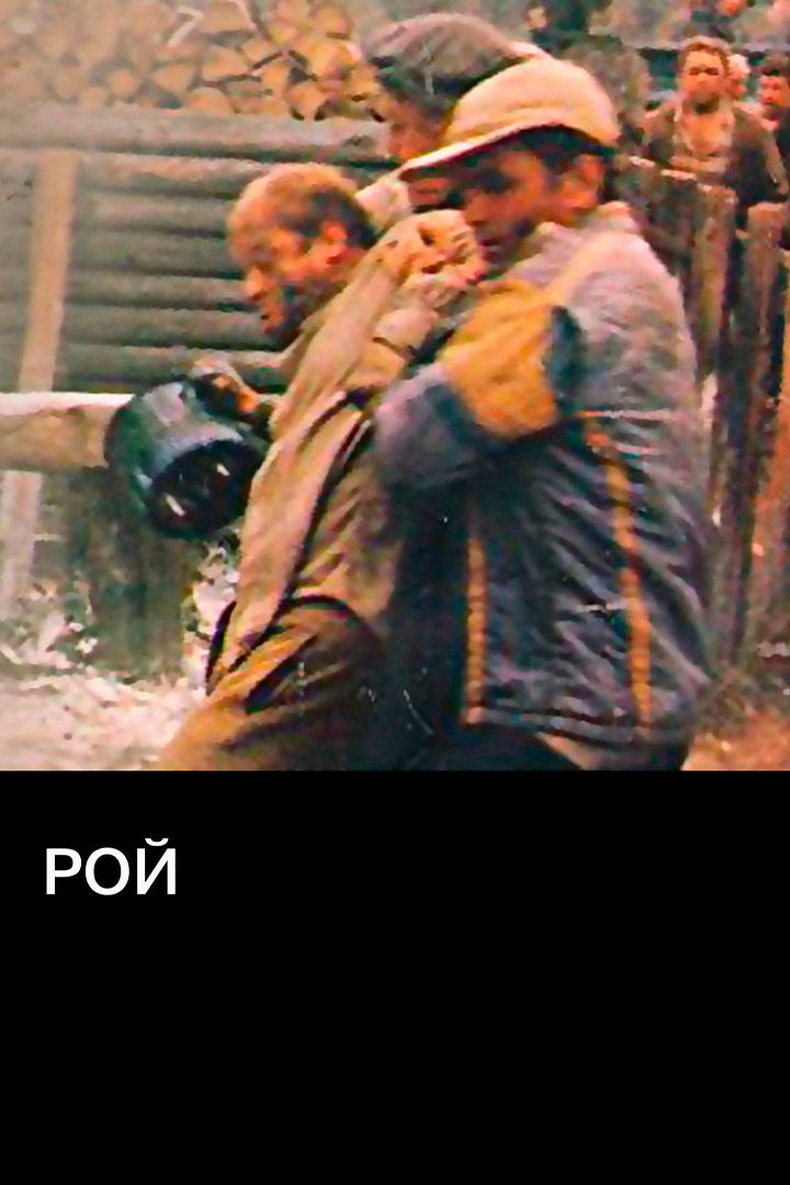 Рой