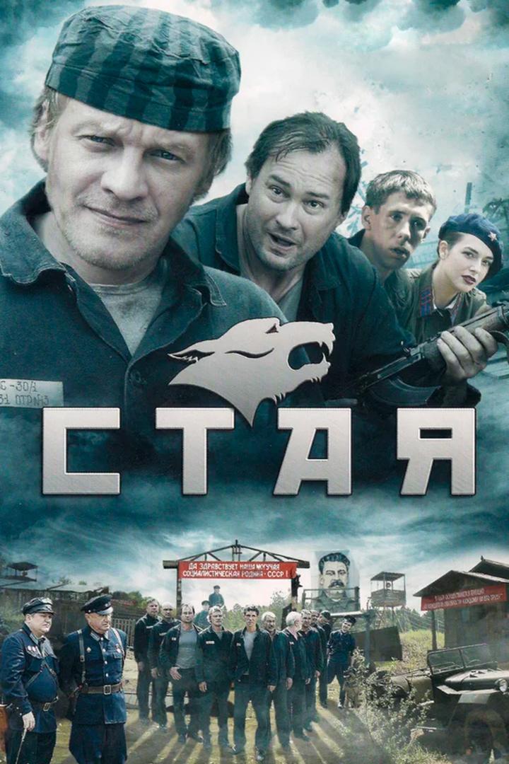 Стая