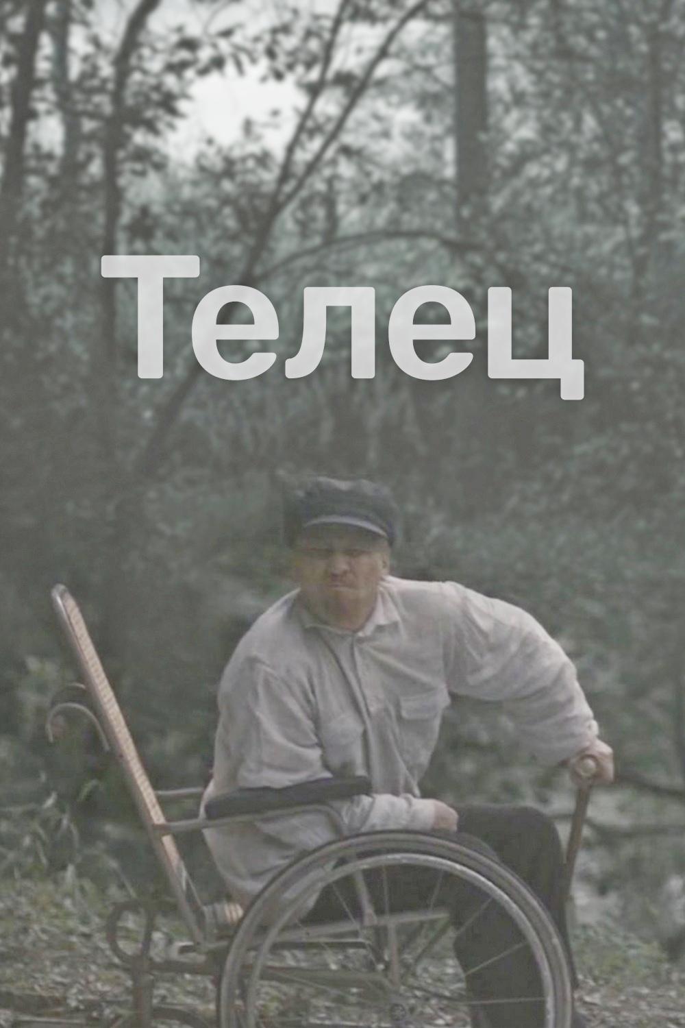 Телец