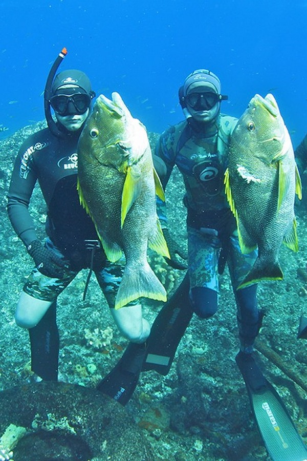 Морская подводная охота