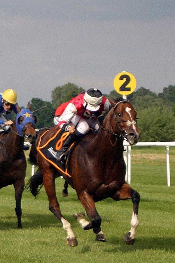 Скачки. "Preakness Stakes". Трансляция из США