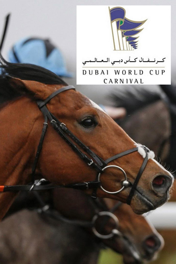 Скачки. "Dubai World Cup Carnival".1-й этап. Трансляция из ОАЭ