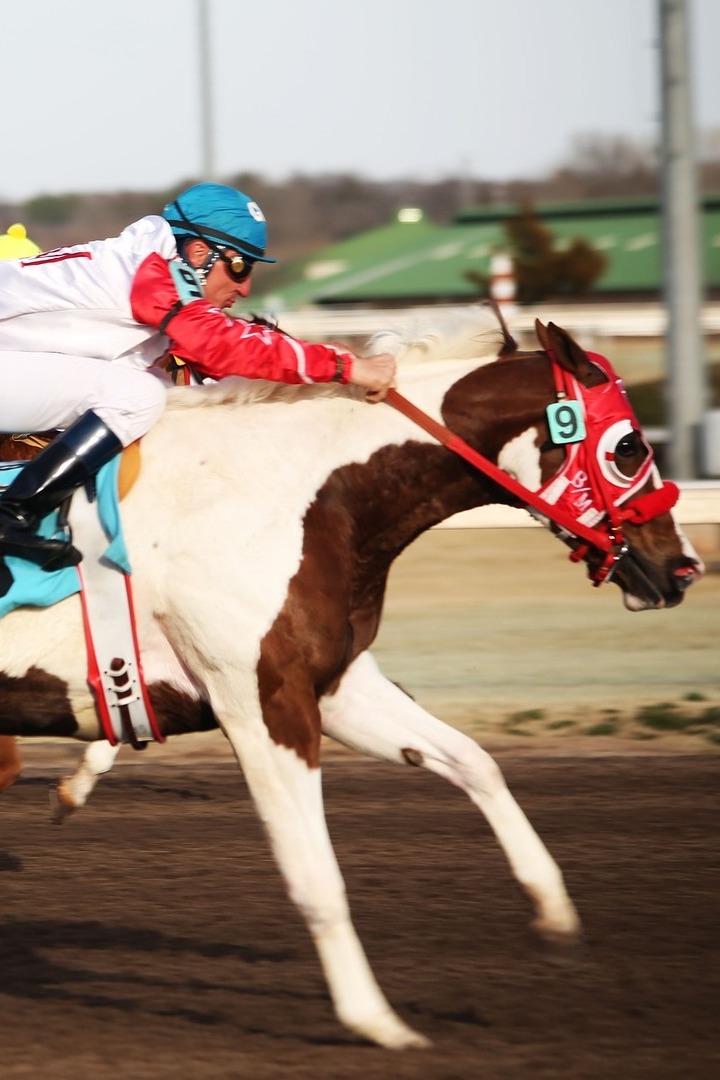 Скачки. "Pegasus World Cup". Трансляция из США